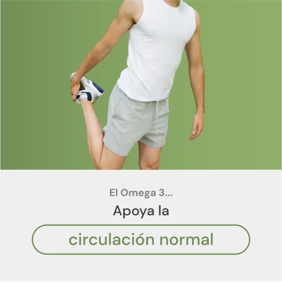 Aqua 03 ayuda a mantener la circulación normal